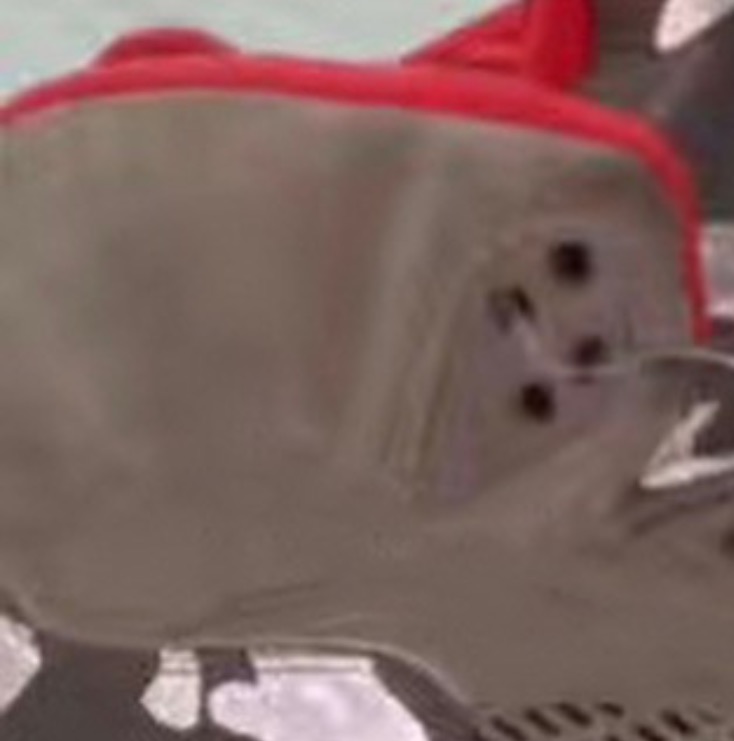 ベイプ エアジョーダン